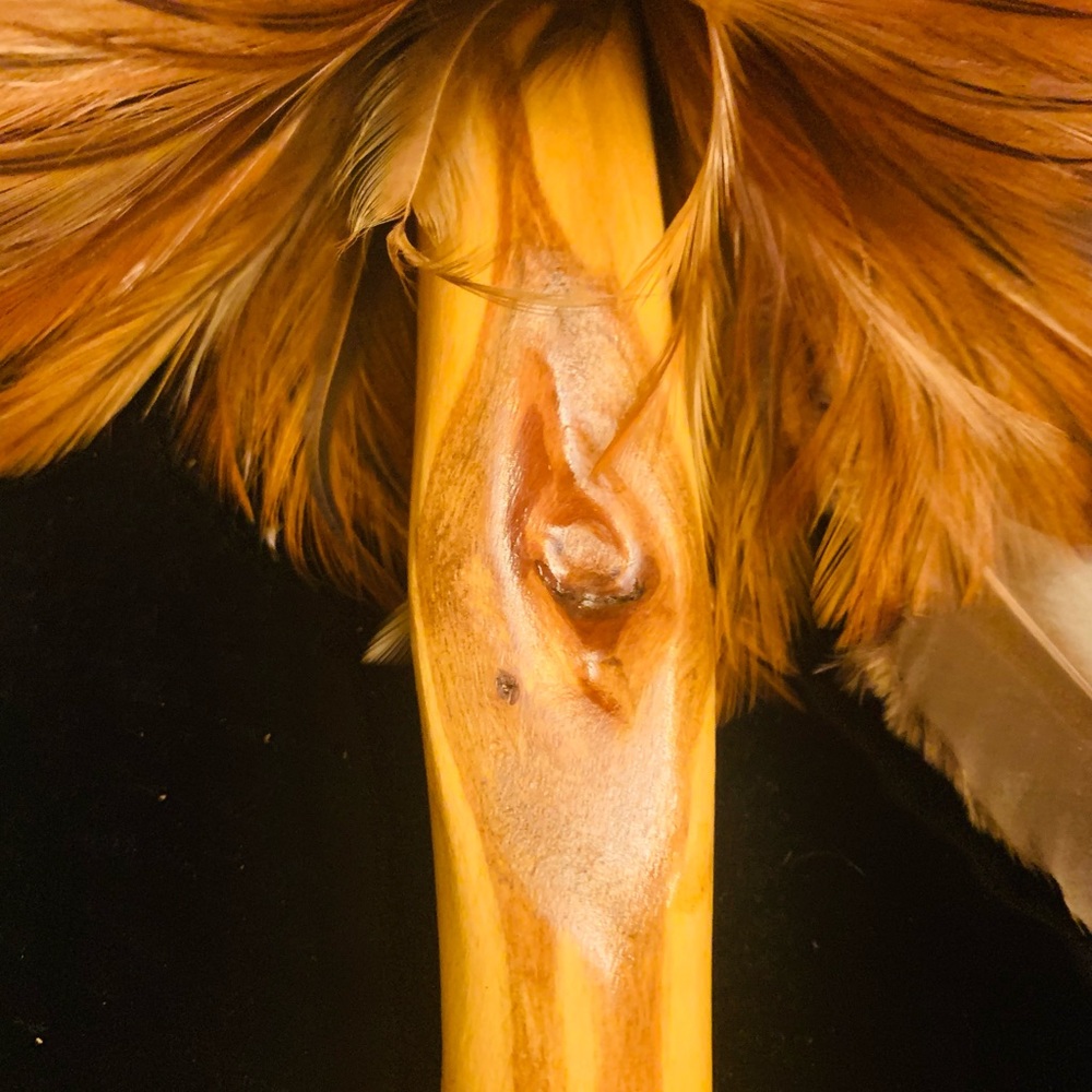 Talking feathers 🪶 - Picture 4 of 6